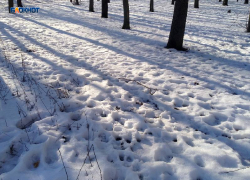 К ночи потеплеет до +6°C