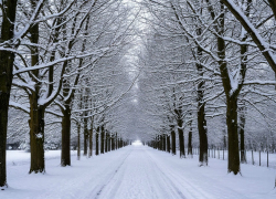 В феврале в Ростовскую область придут морозы, достигающие -31 градуса