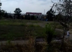 Учебный год ученики школы № 49 в Шахтах начали среди зарослей амброзии