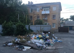 «Просто ад», - назвал шахтинец состояние мусорника в центре города