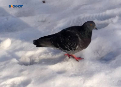 Днем потеплеет и выглянет солнце