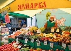 Жителей Шахт приглашают купить огурцы, помидоры и мясо без наценок