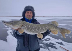 Рыбак выловил щуку-гиганта в мороз в Ростовской области