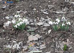 Дождь и небольшое похолодание ожидается в ближайшие сутки