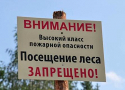 Пути в леса закрыты: руководство Минприроды ограничило пребывание людей в лесной зоне
