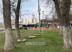 49 миллионов планируют потратить на реконструкцию Александровского парка в Шахтах