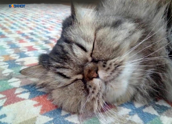 День обещает быть дождливым и пасмурным