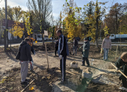 Тридцать тысяч деревьев и более 10 тысяч кустарников высажено в регионе в День древонасаждения