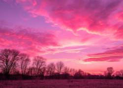 Магнитные бури обрушились на Ростовскую область