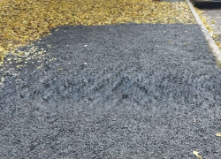 Шахтинец засыпал клумбу щебнем, чтобы сделать себе парковку