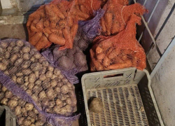 Поймали 22-летнего шахтинца, обчистившего чужой погреб