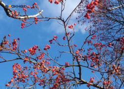 Шахтинцев уже с утра порадует ясный день