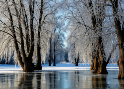 В Ростовской области объявили штормовое предупреждение