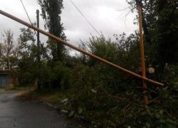 В поселке Нежданной города Шахты тополь упал на трубу газопровода и порвал провода