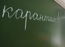 Из-за пневмонии в Шахтах на карантин закрыли школу