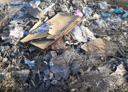 Когда уберут свалку, по Земледельческой нет тротуаров: какие еще вопросы волнуют горожан