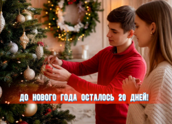 До нового года осталось 20 дней