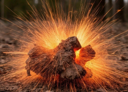 С начала года в Ростовской области было обнаружено и обезврежено шесть боеприпасов