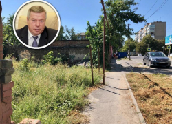 «Вы что, живете там, где нет амброзии? Или она на вас не действует?» Губернатор пожурил Шахты за плохую работу по борьбе с сорняком