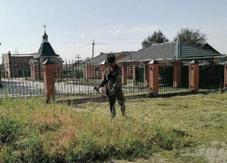 Амброзия процветает: власти обещают штрафовать жителей и руководителей предприятий за нарушение правил борьбы с карантинной растительностью