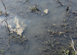 Шахтинский водоканал не возместил причинение вреда почвам при сбросах сточных вод