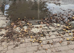 Глубокая яма в центре Шахт создаёт неудобства для пешеходов