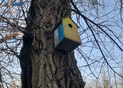 Заморозков пока не предвидится, будет солнечно и без осадков