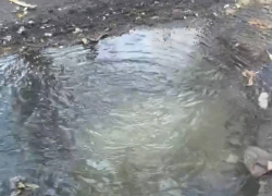 Канализационная авария на улице Садовая в Шахтах беспокоит жителей