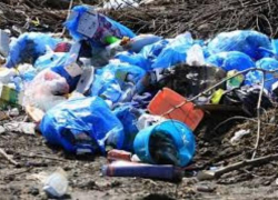 Шахтинская прокуратура заставила администрацию уничтожить несанкционированные свалки