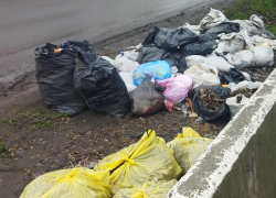 Шахтинцы обратились с проблемой вывоза мусора, а администрация им предложила выйти на субботник 