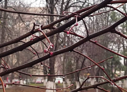 Ветер немного стихнет и по-прежнему будет облачно