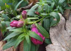 Осенняя зима продолжается