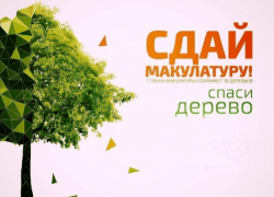 Сдайте макулатуру – спасите дерево: в Шахтах стартовала экологическая акция