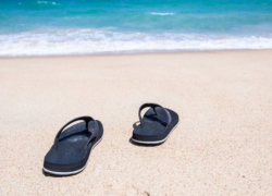 Шахтинцы могут подать заявку на получение бесплатной путевки для ребенка