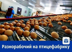 Требуется разнорабочий на вахту - птицефабрика, офис в Шахтах