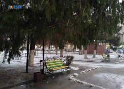 К вечеру потеплеет и заморосит дождь