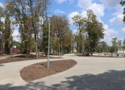 Скоро в Александровском парке появится газон и высадят деревья 