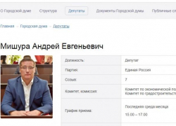 Бывшего члена Думы города Шахты Андрея Мишуру признали виновным в хищении средств