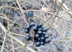 Утром ливень прекратится, но весь пятничный день будет пасмурным