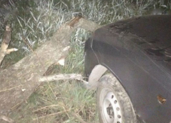 В Шахтах "Дэу" влетела в дерево
