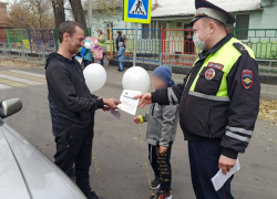 Засветись: сотрудники шахтинского отдела ГИБДД напомнили пешеходам о необходимости использовать светоотражатели 