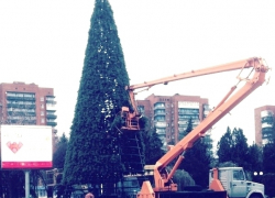 На площади Ленина в Шахтах появилась новогодняя елка