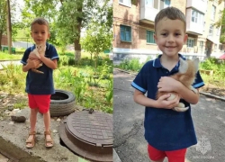 Отважный мальчик из Шахт спас котенка из глубокого колодца, несмотря на травму ноги