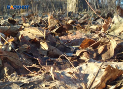 Конец рабочей недели будет солнечным и малооблачным