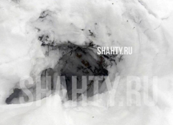 Жительница Шахт провалилась в открытый люк, присыпанный снегом