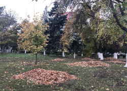 Городской субботник: все шахтинцы - на борьбу с листвой и грязью!