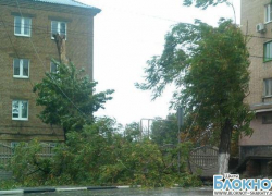 Непогода обесточила несколько поселков города Шахты