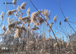 Курс – на весну: будет солнечно, тепло и без осадков