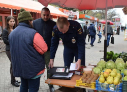 Шахты попали в число городов региона, где чаще всего не убирают свалки, не косят амброзию и торгуют в неположенных местах