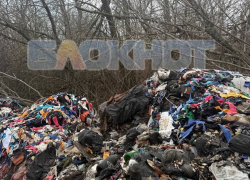 Обнаружена незаконная свалка в Шахтах